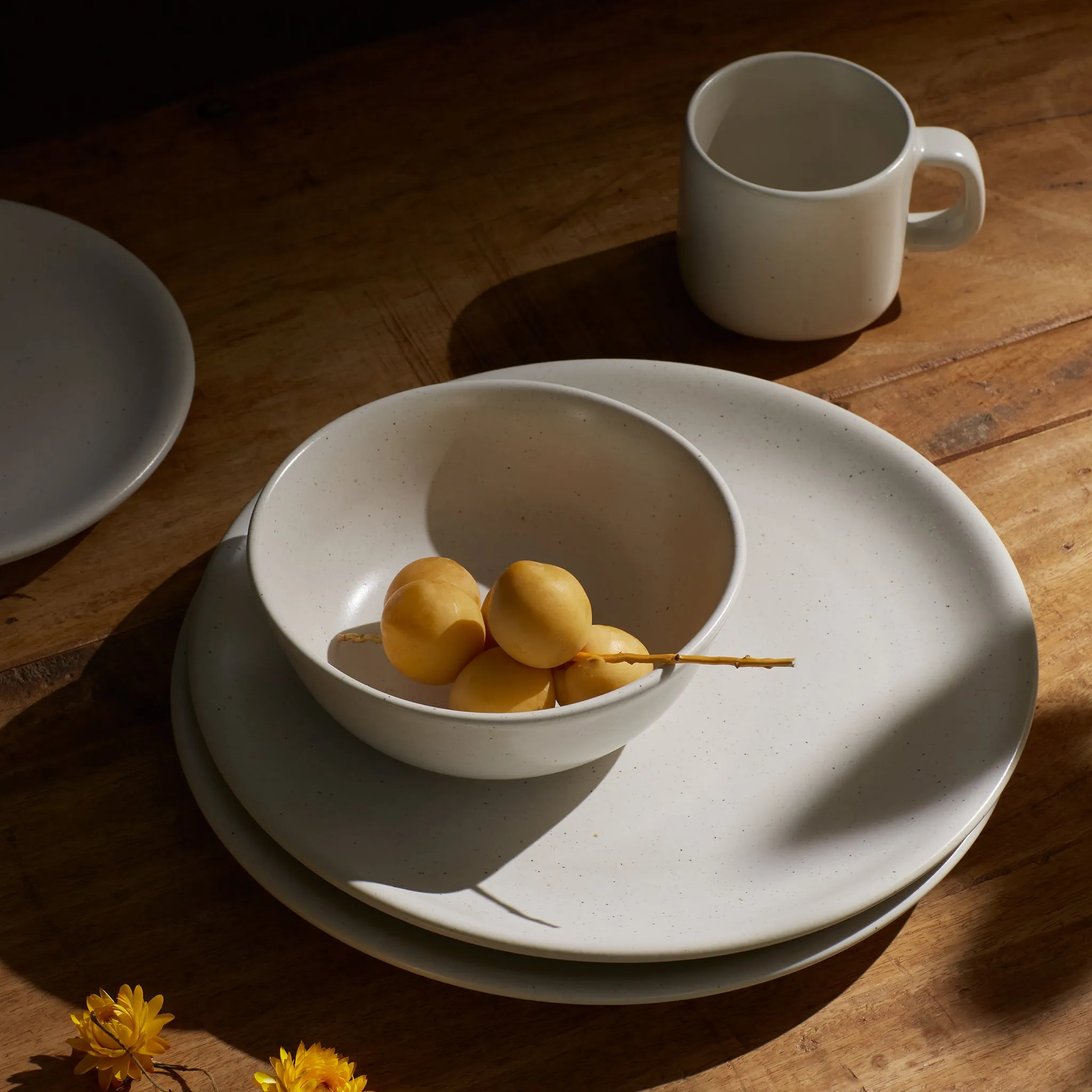 16 Piece Dinner Set