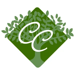 29th Design