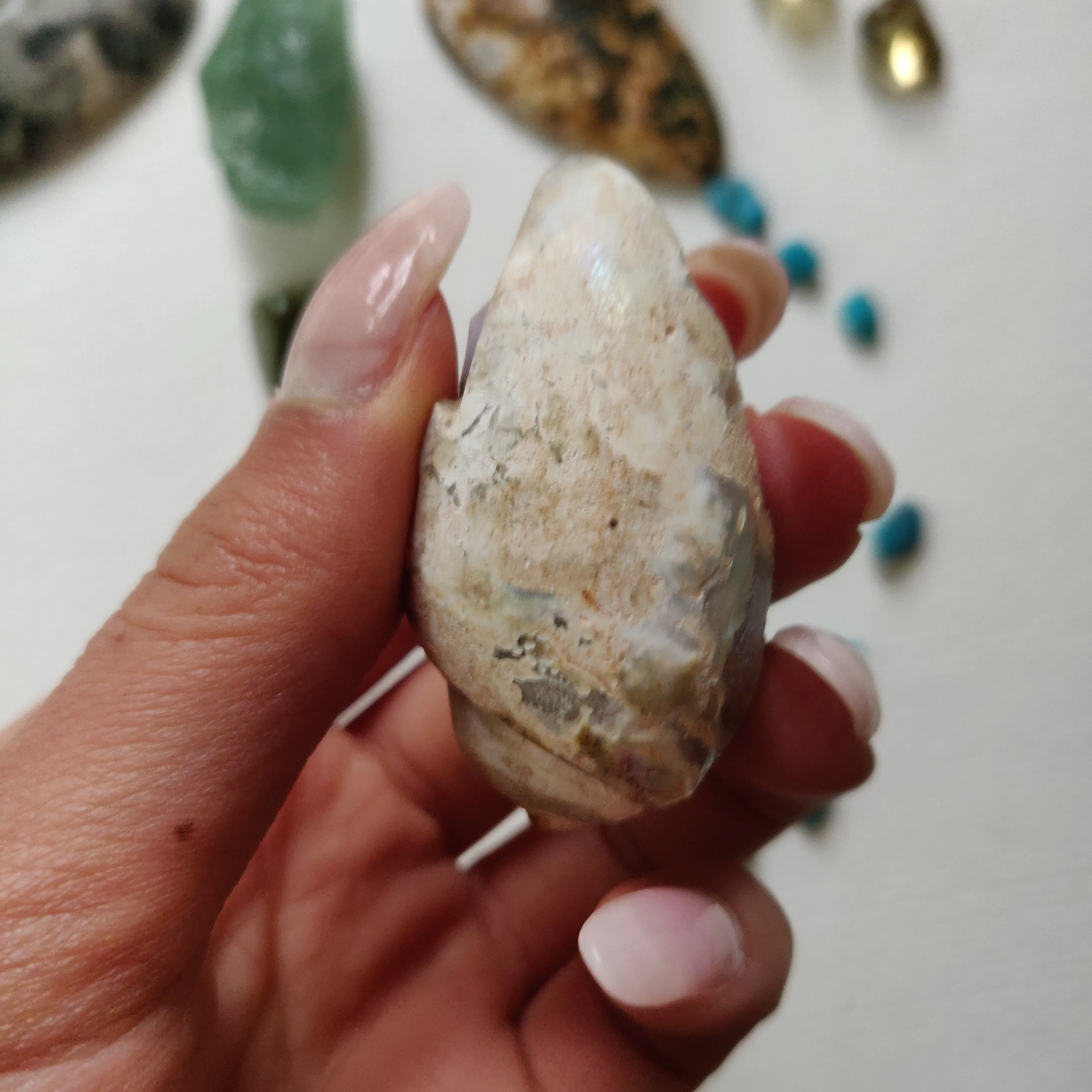 Aura Druzy Shell (#14)