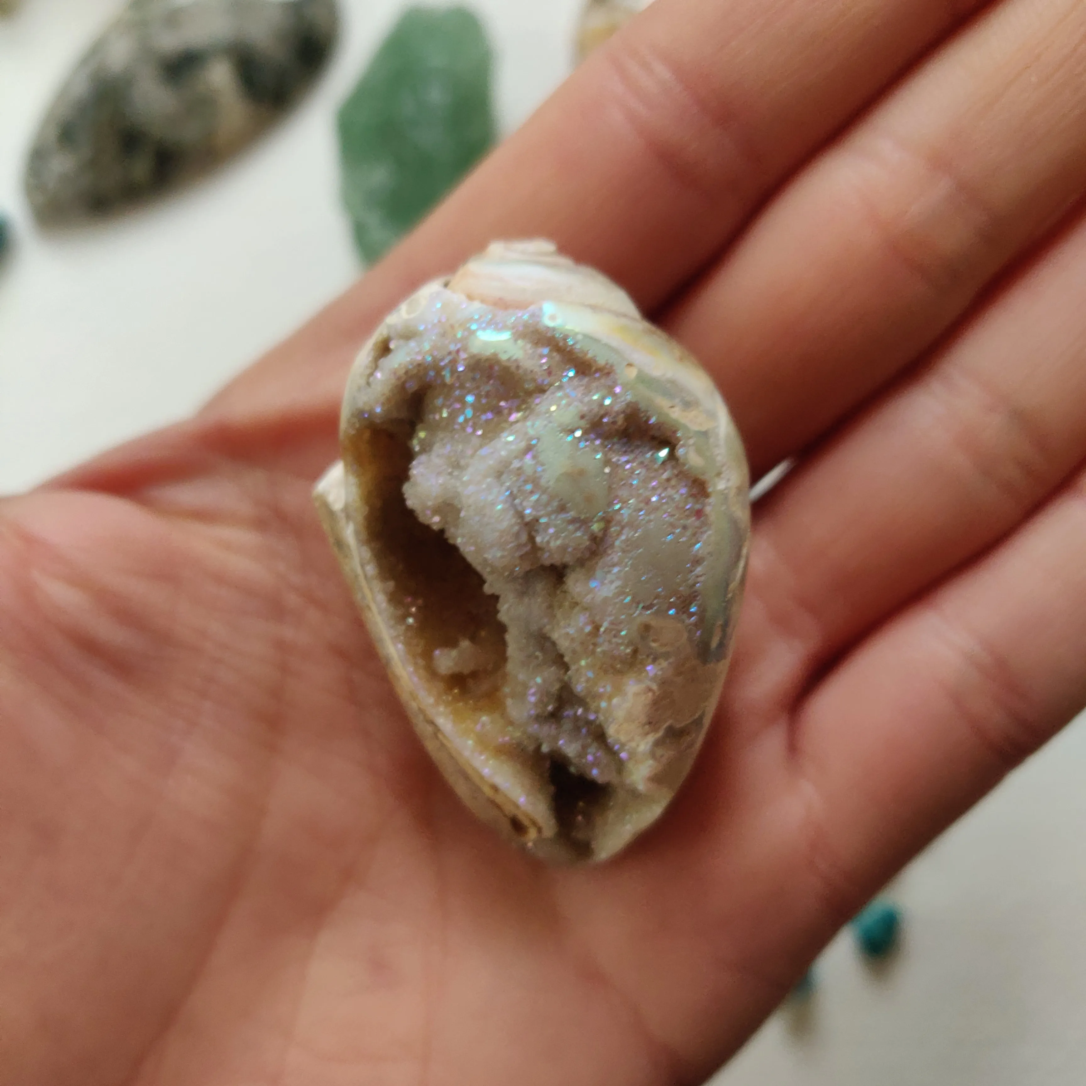 Aura Druzy Shell (#14)