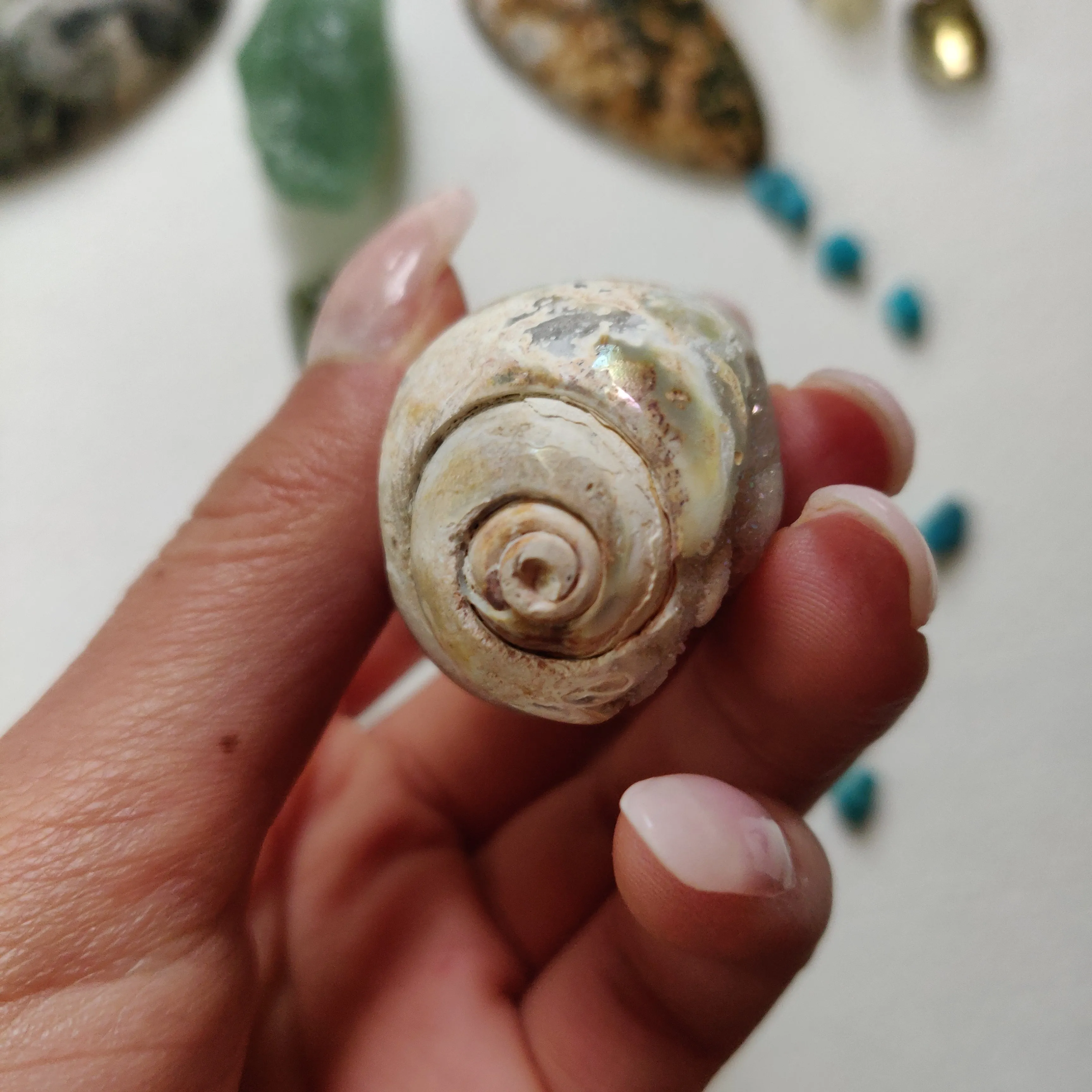 Aura Druzy Shell (#14)