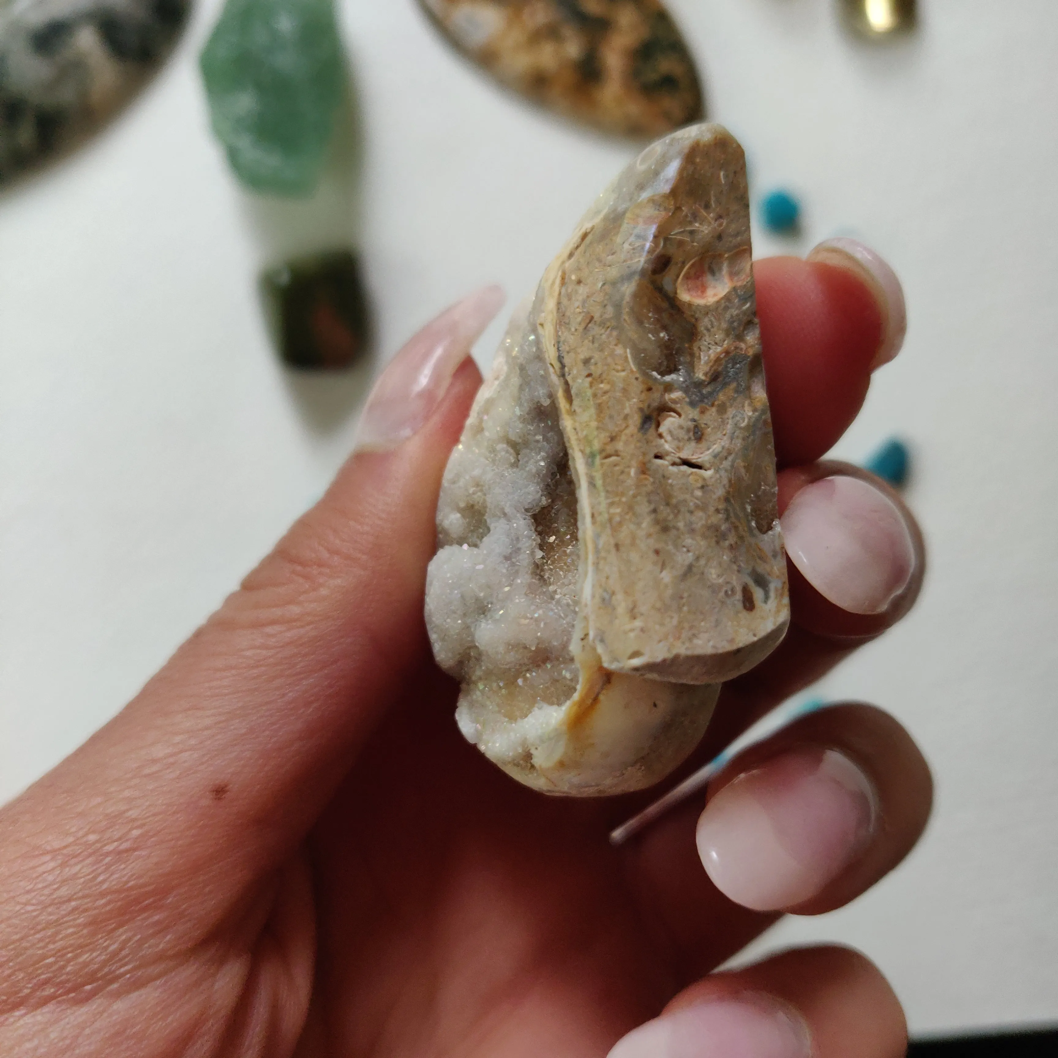 Aura Druzy Shell (#14)