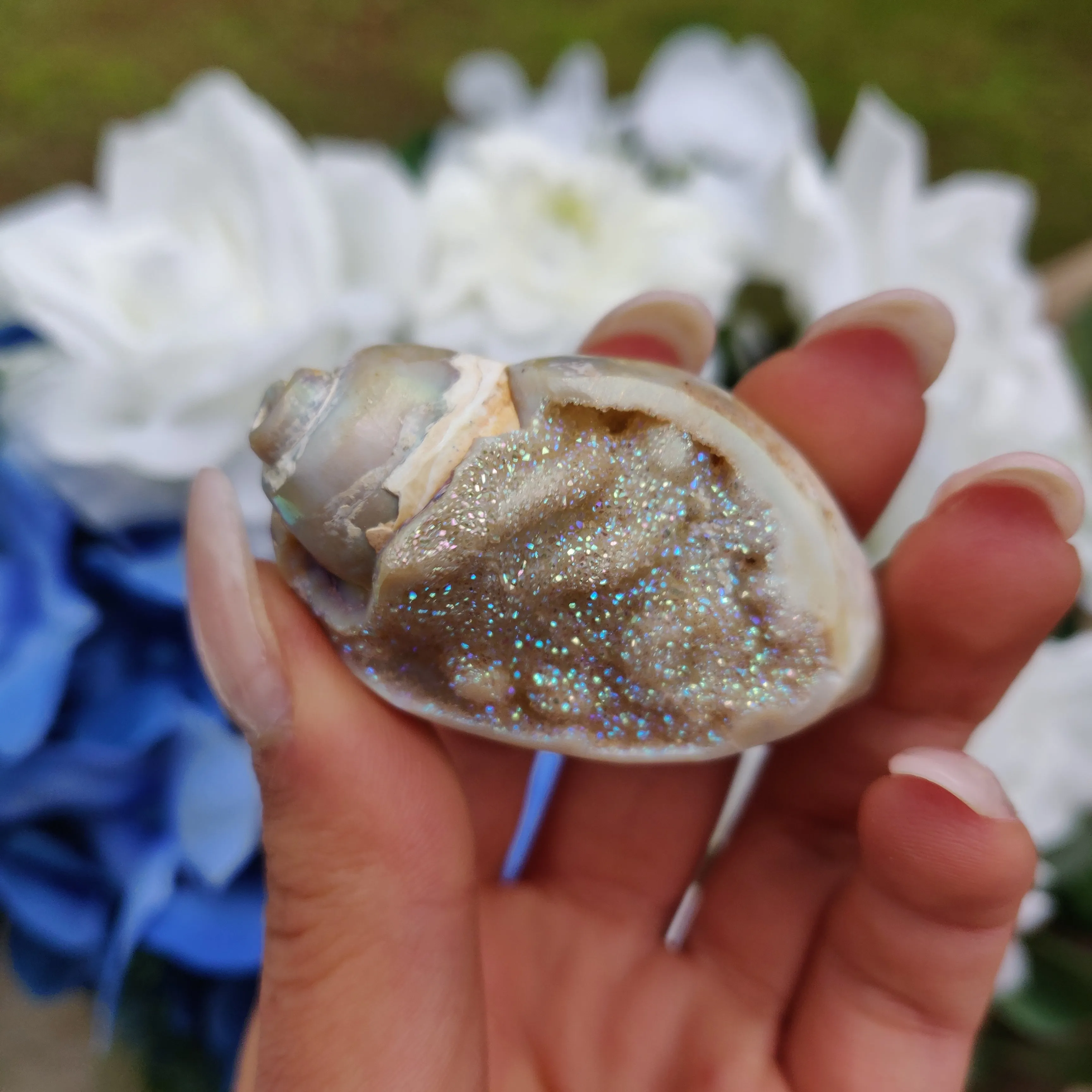Aura Druzy Shell (#17)