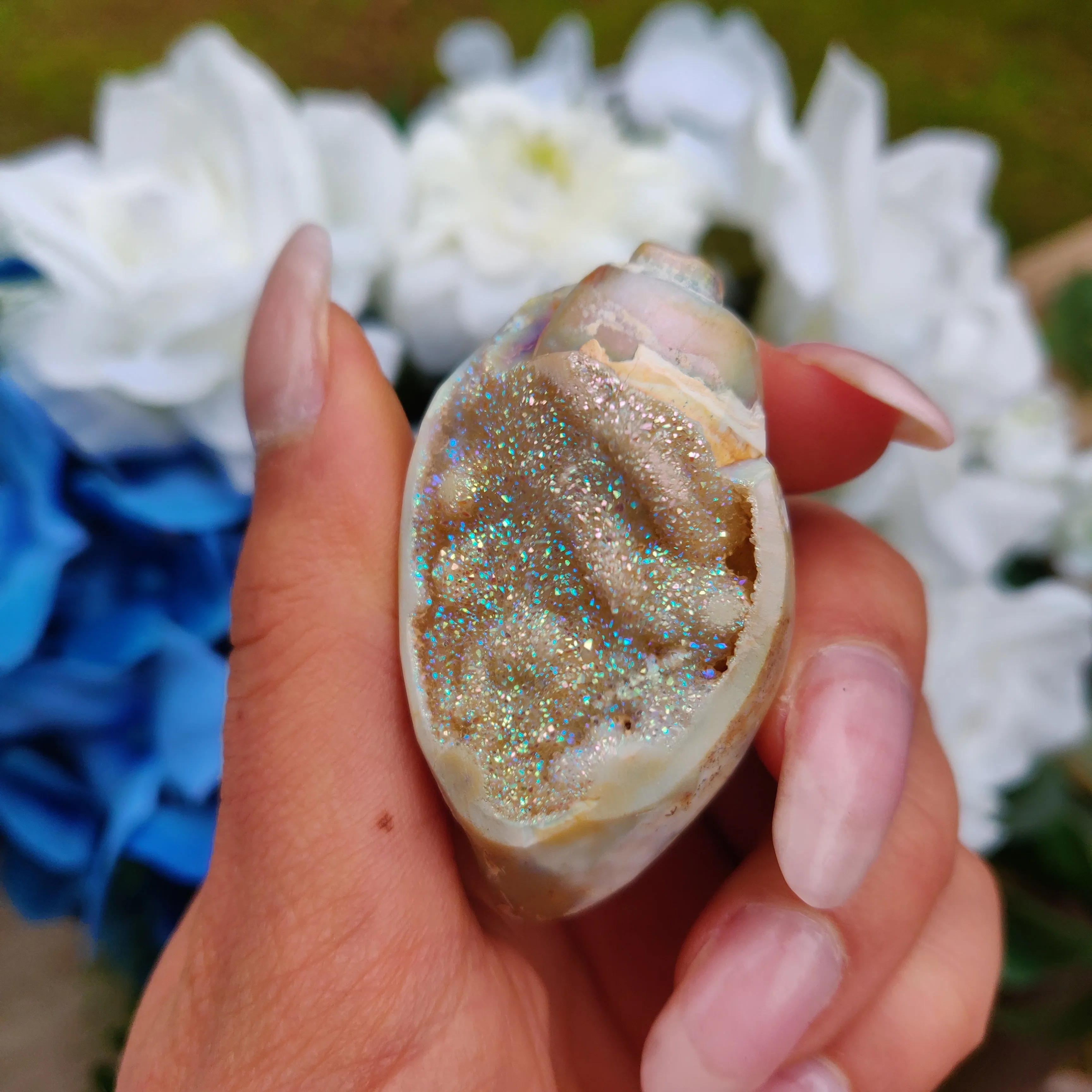 Aura Druzy Shell (#17)
