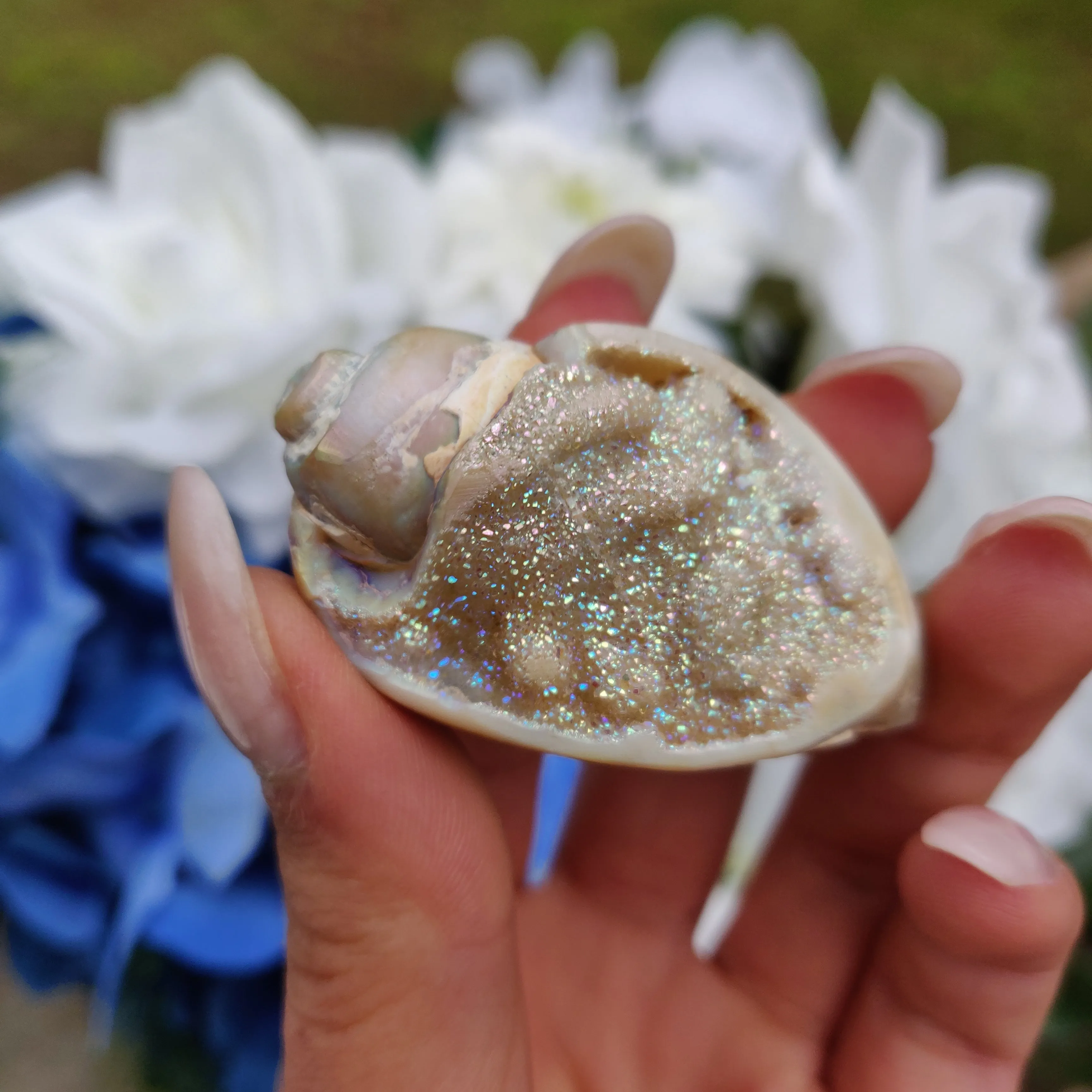 Aura Druzy Shell (#17)