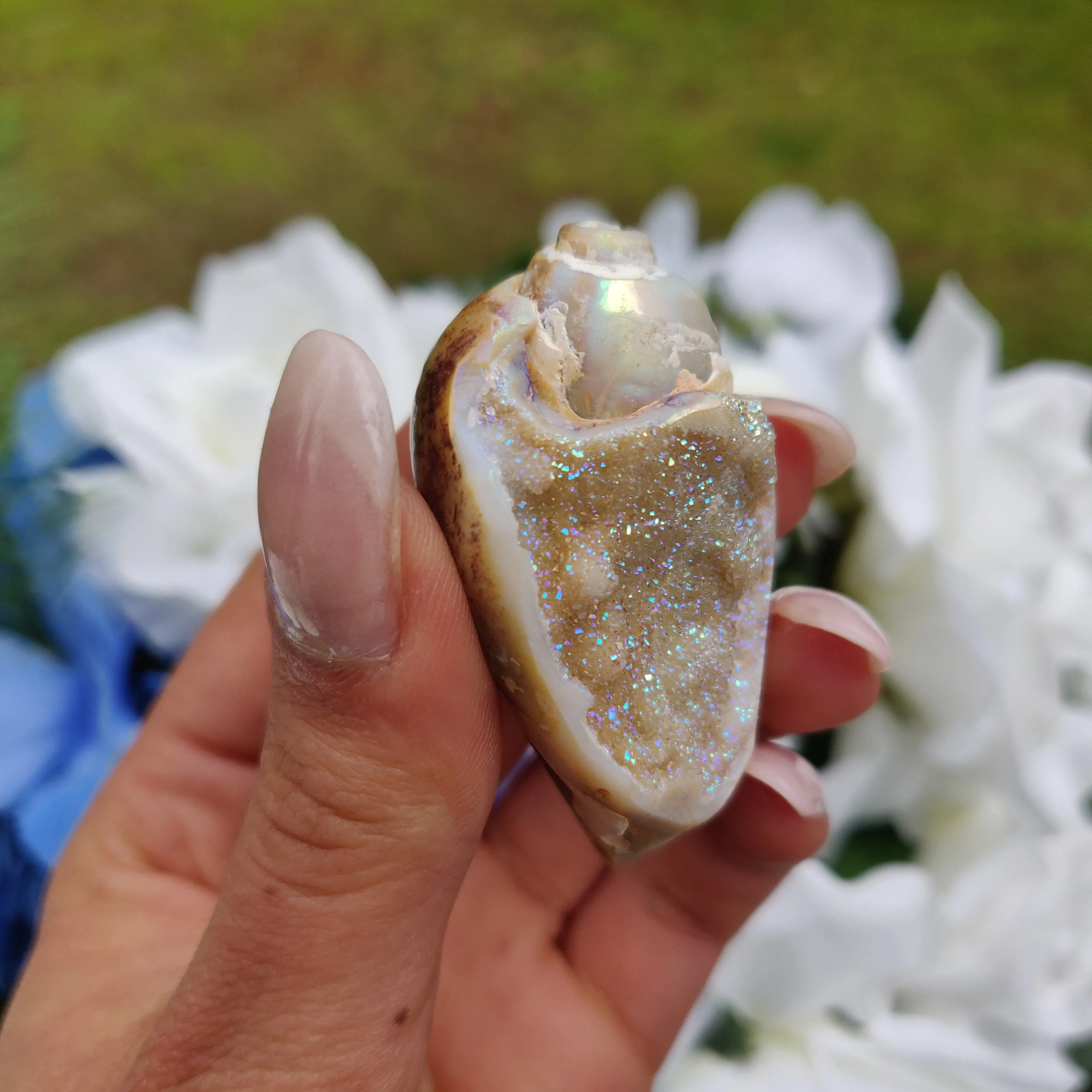 Aura Druzy Shell (#17)