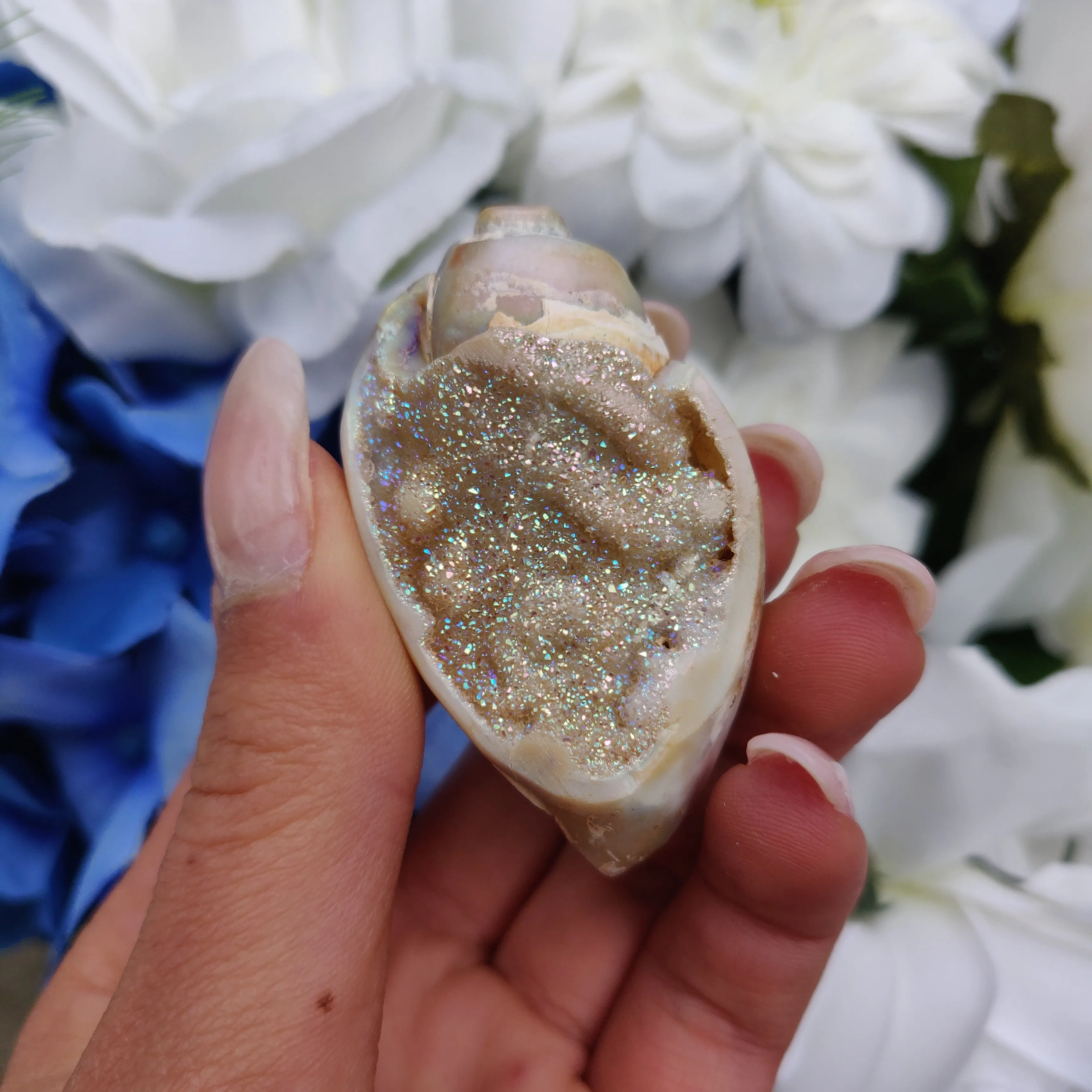 Aura Druzy Shell (#17)