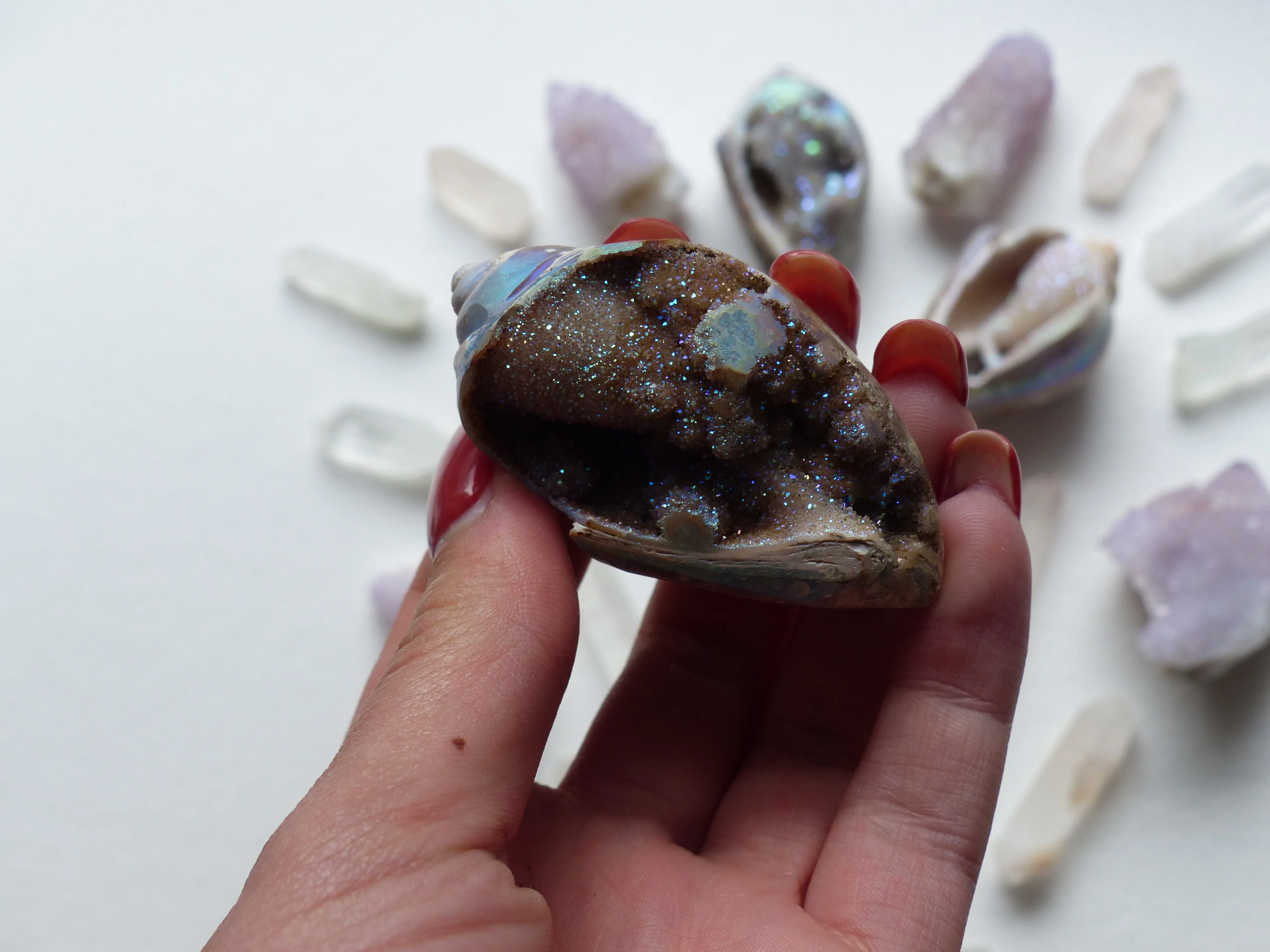 Aura Druzy Shell (#6)