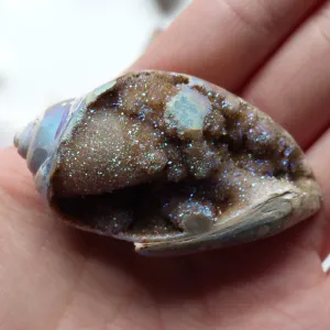 Aura Druzy Shell (#6)