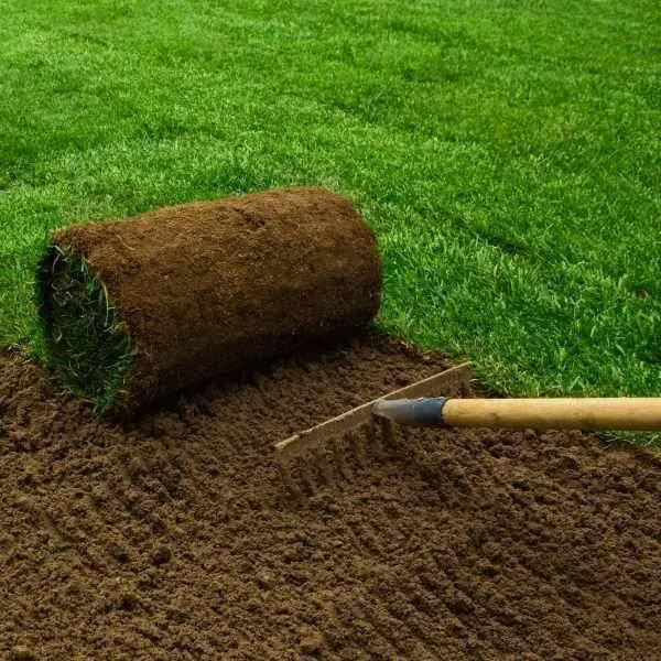 Click and Collect Lawn Turf m2 rolls - Special Offer (Collection only).