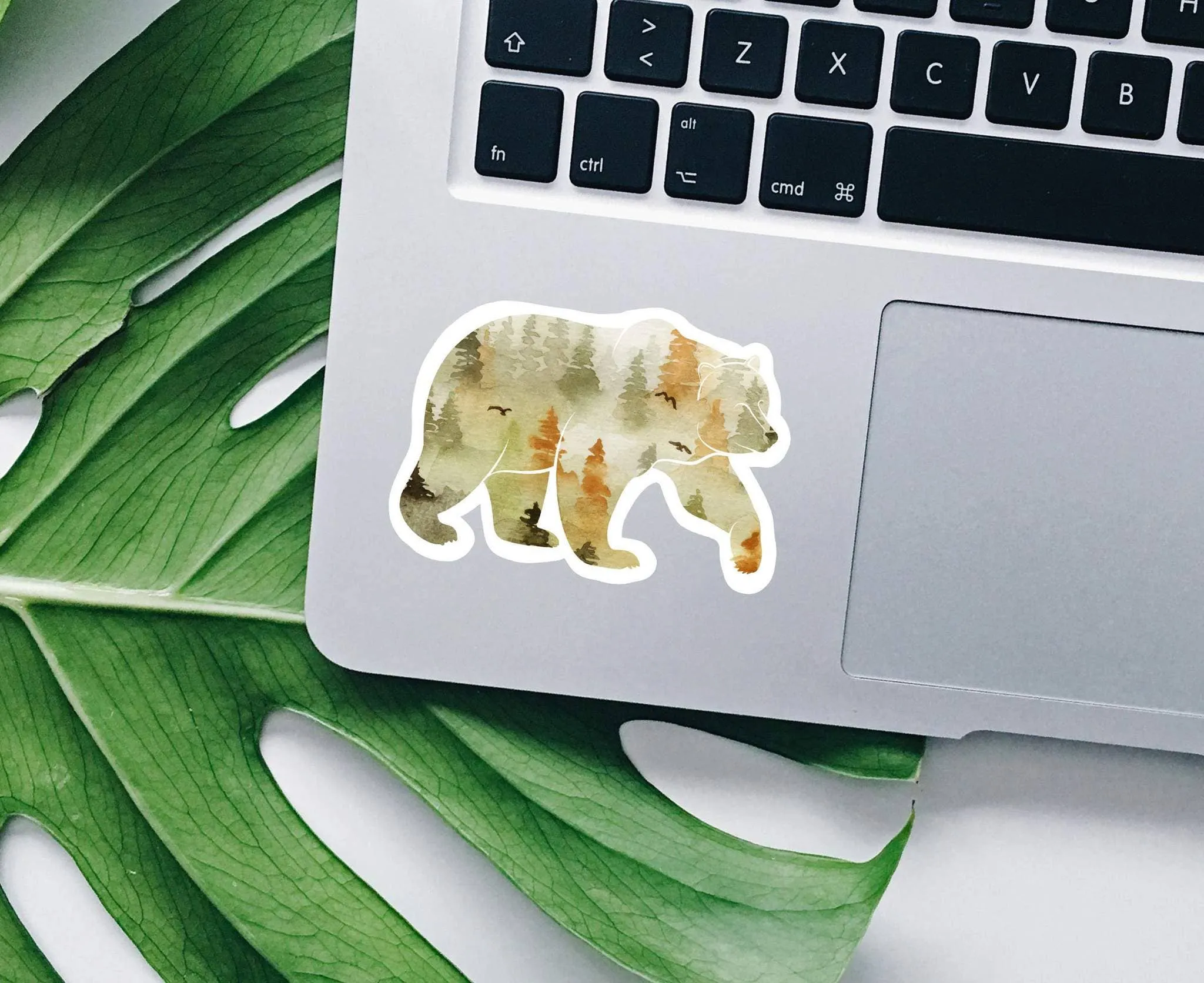 Fall Watercolor Bear Vinyl Sticker