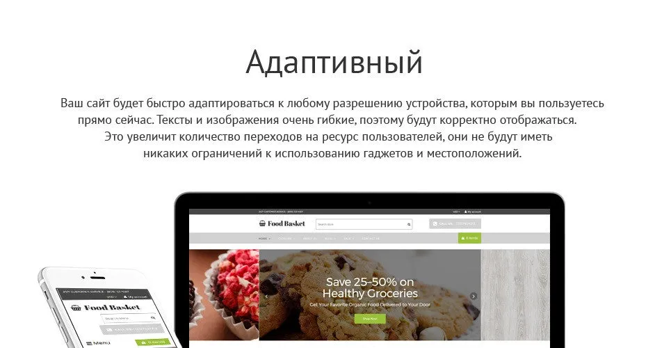 Online Food Basket - Shopify Themes