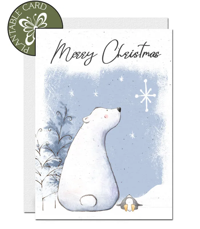 Plantable Christmas Card - Christmas Star