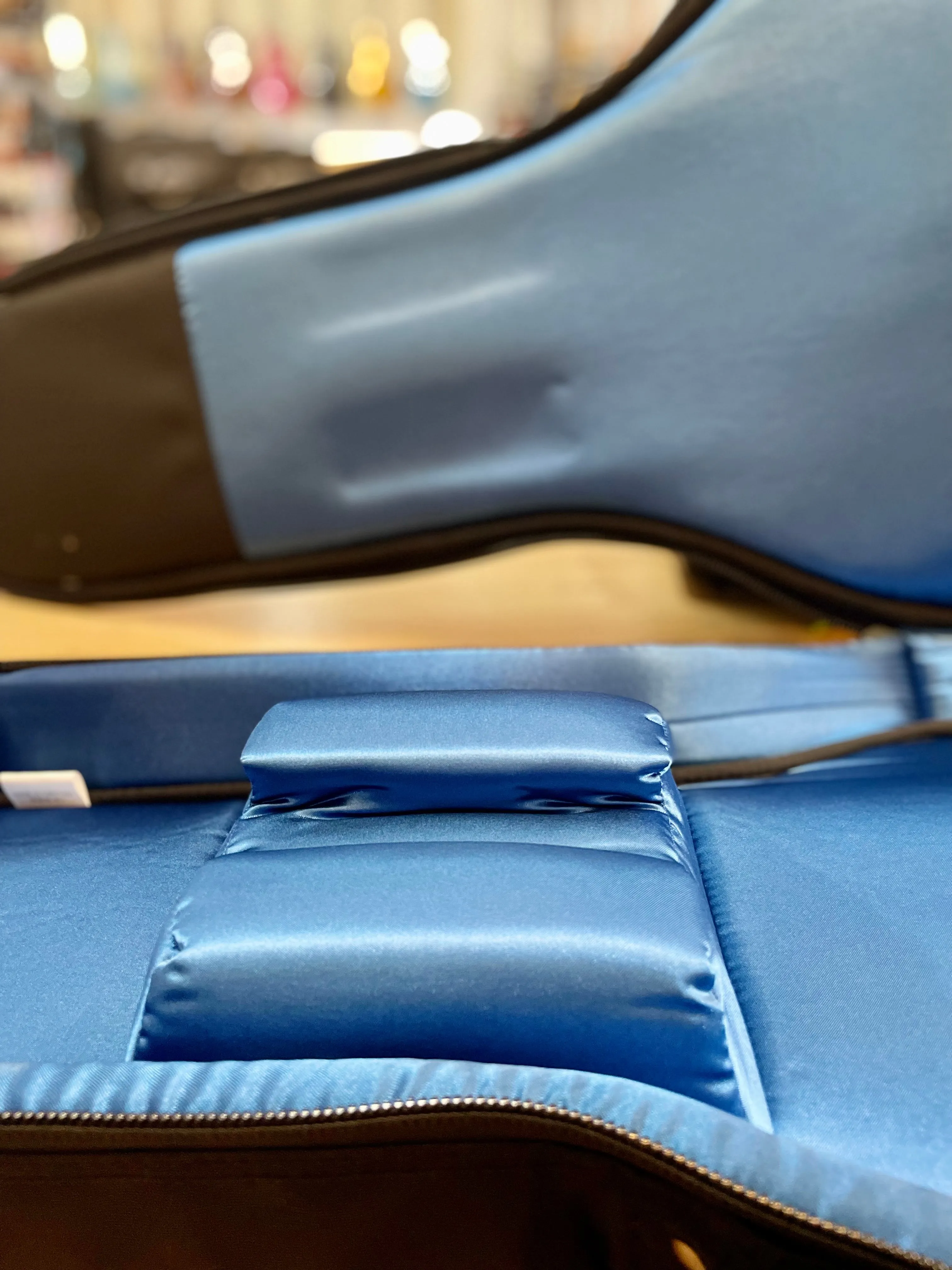 Reunion Blues | RBX | Profession Electric Gig Bag