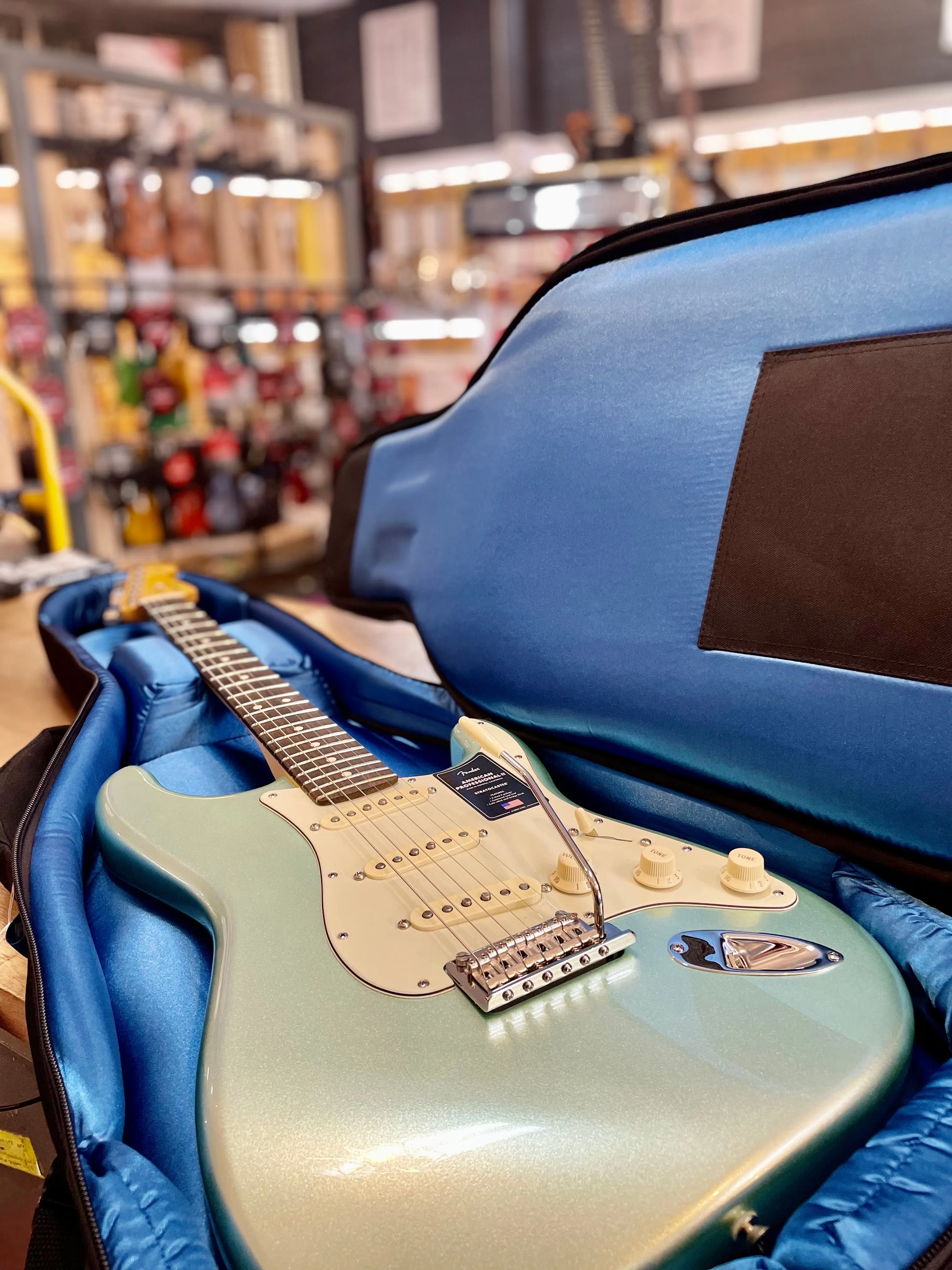 Reunion Blues | RBX | Profession Electric Gig Bag