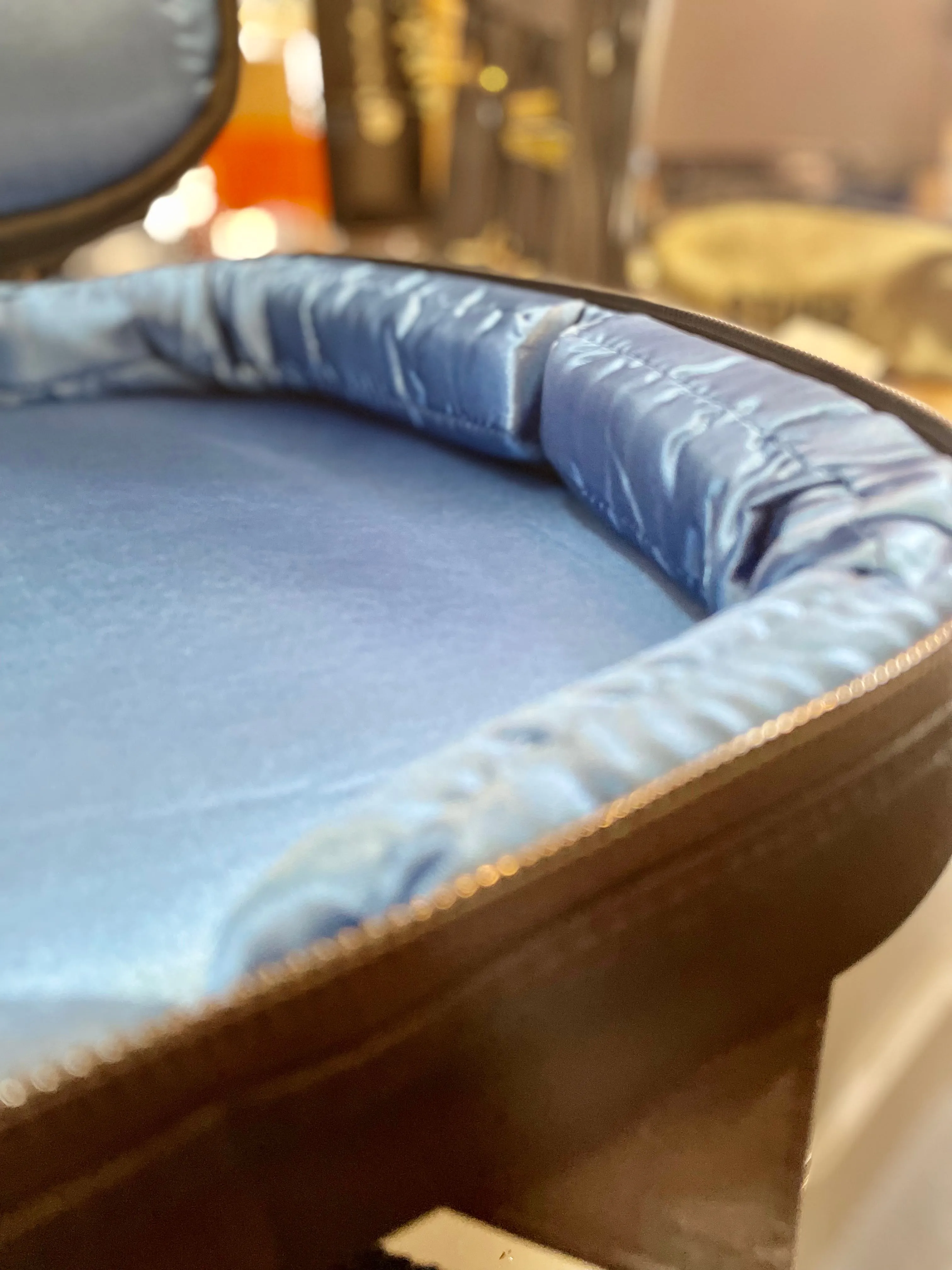 Reunion Blues | RBX | Profession Electric Gig Bag